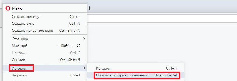 Зайдите в «Меню — История — Очистить историю посещений» 