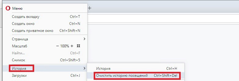 Зайдите в «Меню — История — Очистить историю посещений»