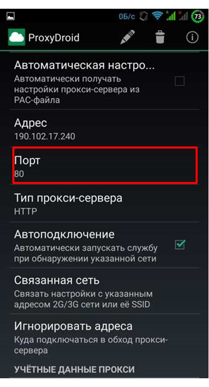 Выберите пункт «Порт» и пропишите там его значение. Нажмите «ОК». Поставьте галочку возле параметра «Автоподключение»