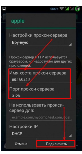 Пропишите данные прокси и нажмите «Подключить»