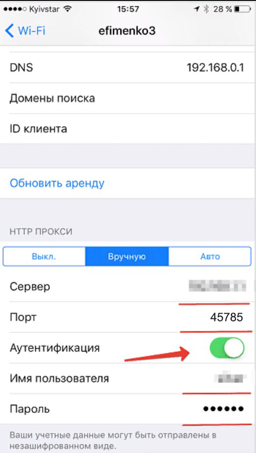 Введите данные вашего прокси-сервера